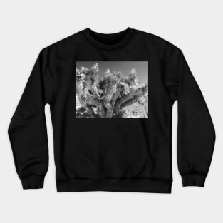 Joshua Tree Crewneck Sweatshirt